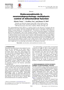 multiphasic control of mitochondrial function