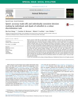 Speed-accuracy trade-offs and individually consistent decision