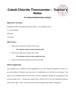 Teacher`s Instructions