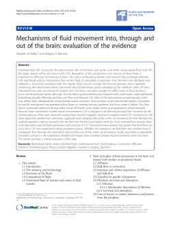 document - The SHINE Library