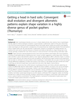 Getting a head in hard soils: Convergent skull evolution and