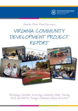 ViRGinia Community DeVelopment pRojeCt RepoRt