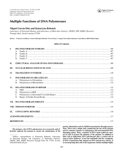 Multiple Functions of DNA Polymerases
