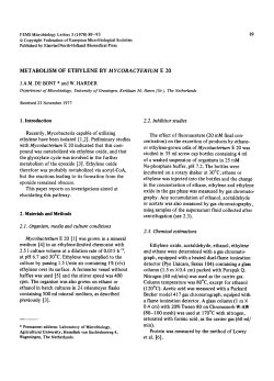 Metabolism of ethylene by Mycobacterium E 20