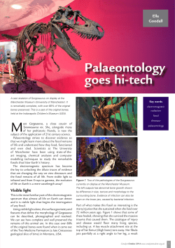 Palaeontology goes hi-tech