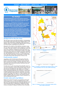 DRY ZONE - WFP Remote Access Secure Services