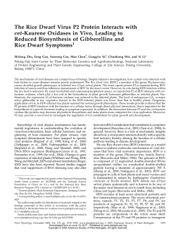 The Rice Dwarf Virus P2 Protein Interacts with ent