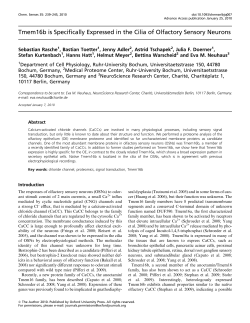Tmem16b is Specifically Expressed in the Cilia of