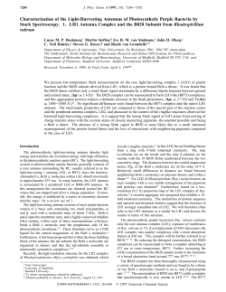Characterization of the Light-Harvesting Antennas of Photosynthetic