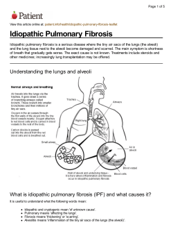 Idiopathic Pulmonary Fibrosis