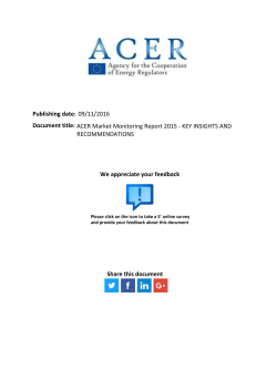 ACER Market Monitoring Report 2015