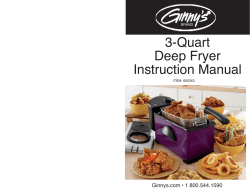 3-Quart Deep Fryer Instruction Manual
