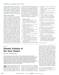 Genomic Evolution of Hox Gene Clusters