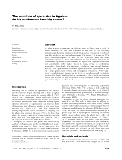 The evolution of spore size in Agarics: do big mushrooms