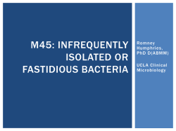 M45: Infrequently isolated or fastidious bacteria