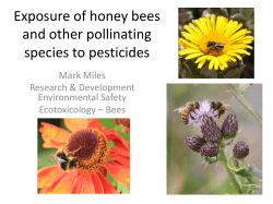 Pesticide exposure for pollinators