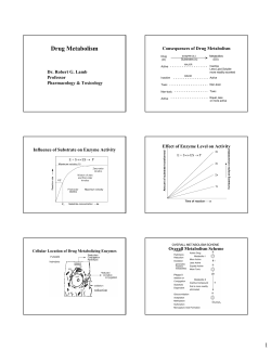 Drug Metabolism