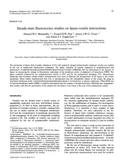 Steady-state fluorescence studies on lipase