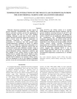 Temperature interactions of Hsc70 in Gillichthys mirabilis