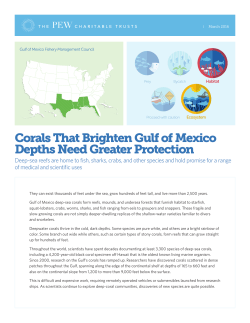 Corals That Brighten Gulf of Mexico Depths Need Greater Protection