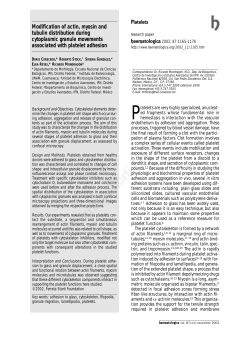Modification of actin, myosin and tubulin distribution during
