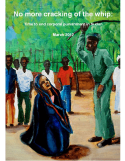 No more cracking of the whip - Criminal Law Reform in Sudan
