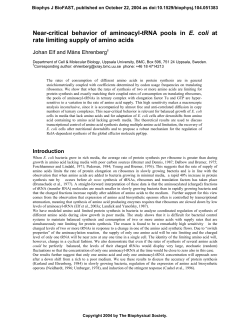 Near-critical behavior of aminoacyl