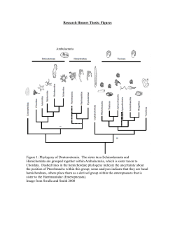 Lukasz J Sewera Biology Research Honors Thesis Figures April 15