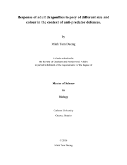 to the PDF file. - CURVE