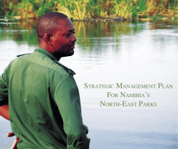 strategic management plan for namibia`s north