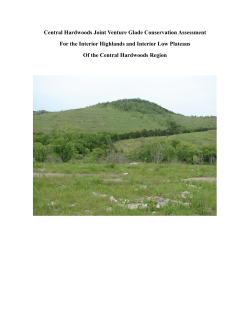 Central Hardwoods Joint Venture Glade Conservation Assessment