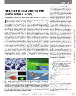 Production of Trout Offspring from Triploid Salmon Parents BREVIA