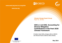 GHG or not GHG: Accounting for Diverse Mitigation