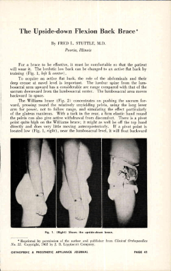 The Upside-down Flexion Back Brace*