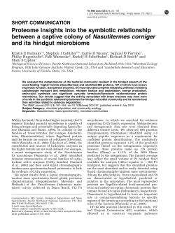Proteome insights into the symbiotic relationship between a