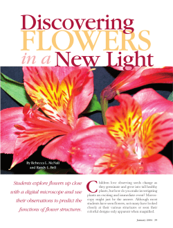 Students explore flowers up close with a digital microscope and use