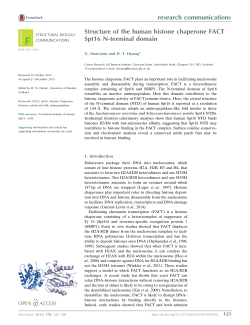 Structure of the human histone chaperone FACT Spt16 N