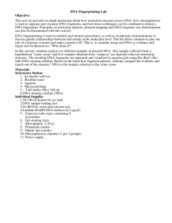 DNA Fingerprinting Lab Objective