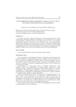 polymorphism in free-swimming larvae of halisarca dujardini