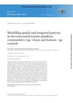 Modelling spatial and temporal patterns in size
