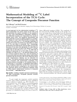Mathematical modeling of 13C label incorporation of the TCA cycle