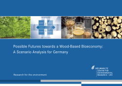 Possible Futures towards a Wood-Based Bioeconomy