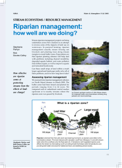 Riparian management: