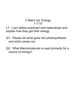 3 Warm Up: Energy 1-7-15 LT I can define autotroph and