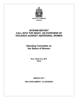 INTERIM REPORT CALL INTO THE NIGHT: AN OVERVIEW OF