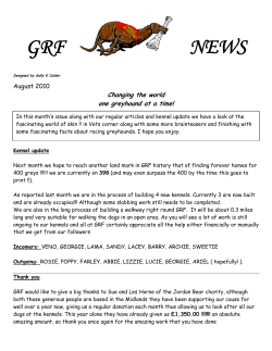 GRF NEWS - Greyhound Rescue Fife
