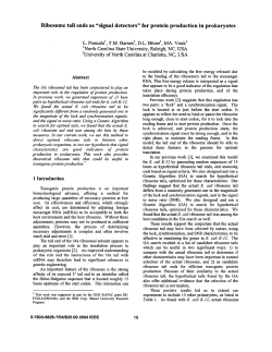 Ribosome tail ends as "signal detectors" for protein production in