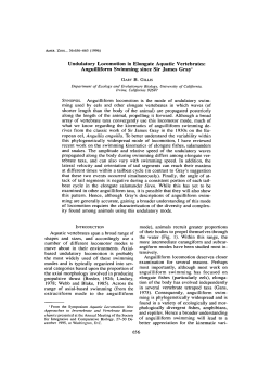 Undulatory Locomotion in Elongate Aquatic Vertebrates
