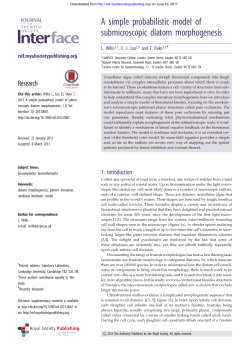 A simple probabilistic model of submicroscopic diatom morphogenesis