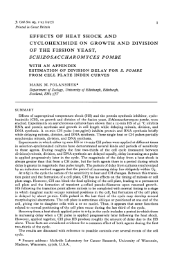 effects of heat shock and cycloheximide on growth and division of